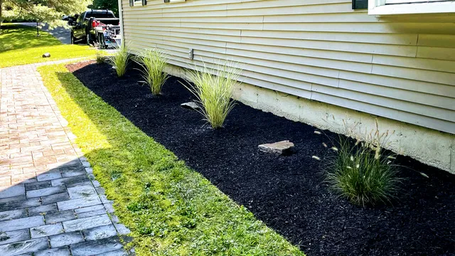 Chris Stupak Enterprises LLC work photo