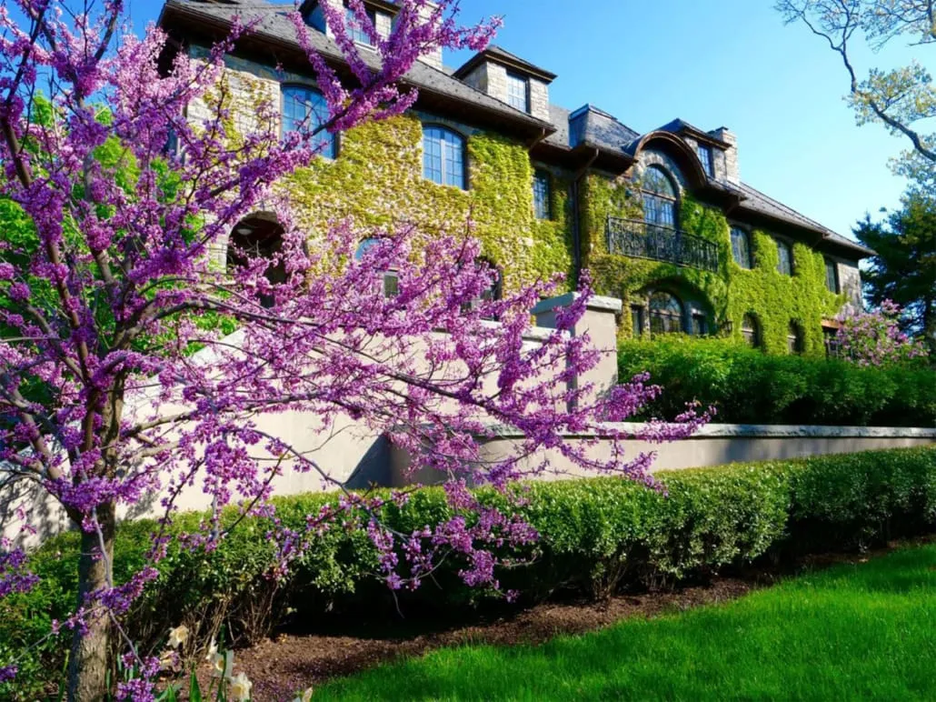 work photo from cmslandscape.com