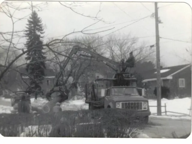 CCI_000021.jpg