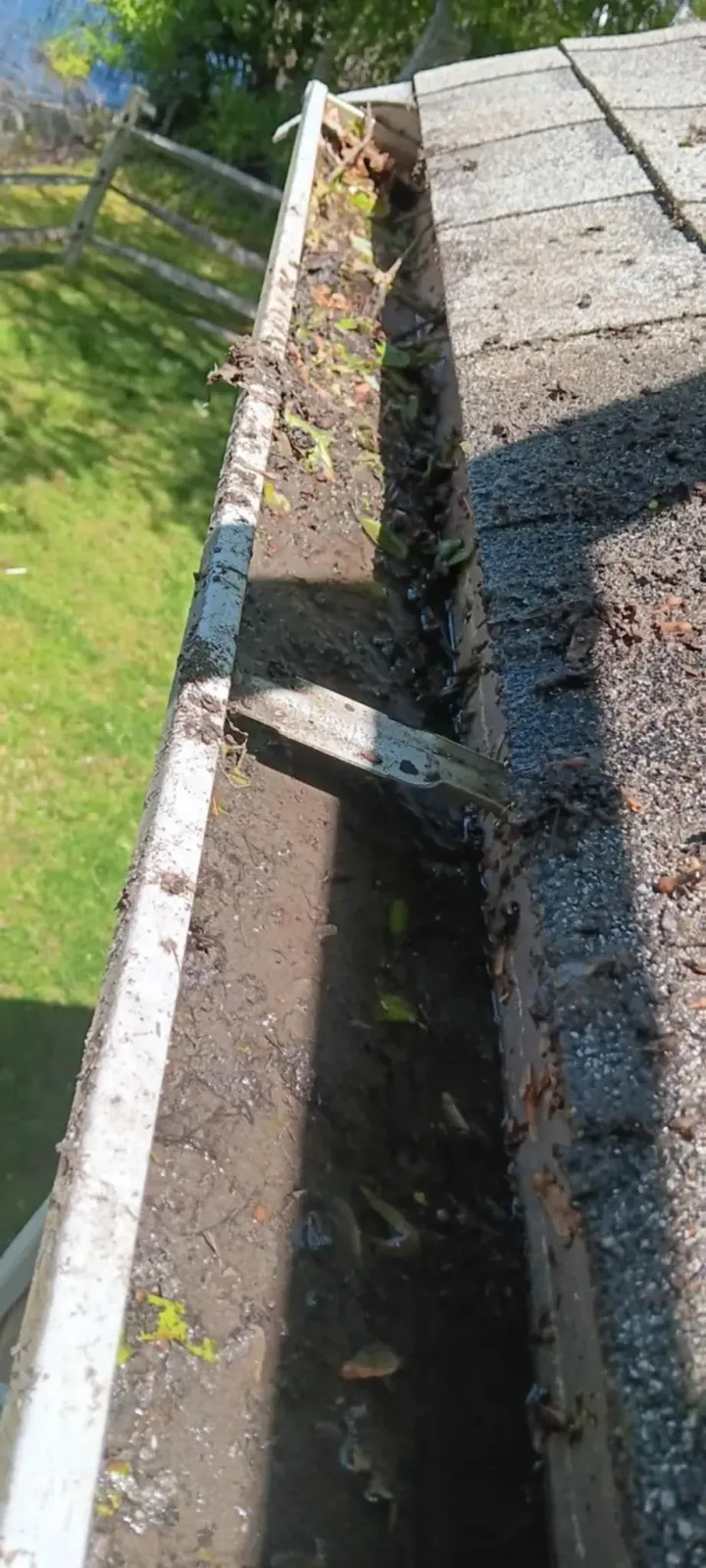 Narrow rooftop gutter filled with debris beside a concrete roof edge and a patch of grass below.