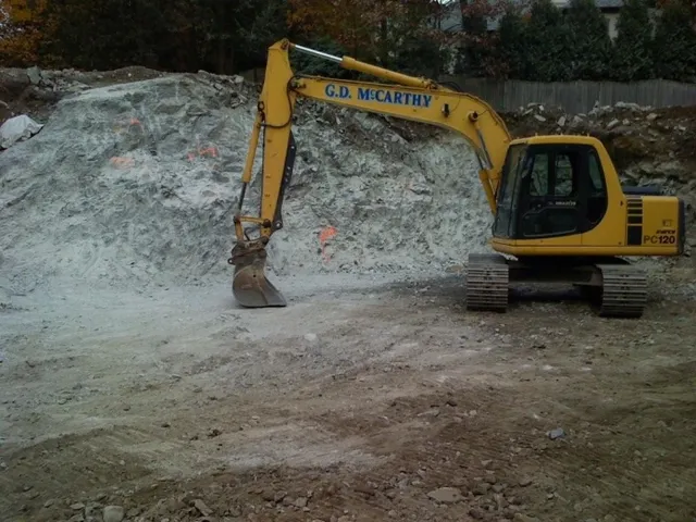 G. D. McCarthy work photo