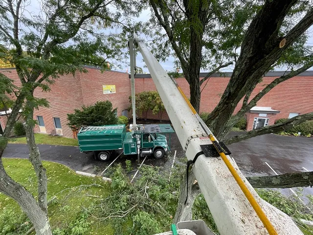 work photo from kevinslawnmowing.com