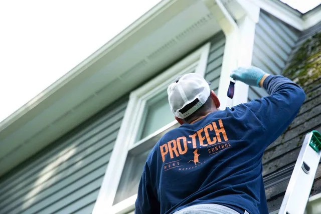 Pro-Tech Pest Control work photo