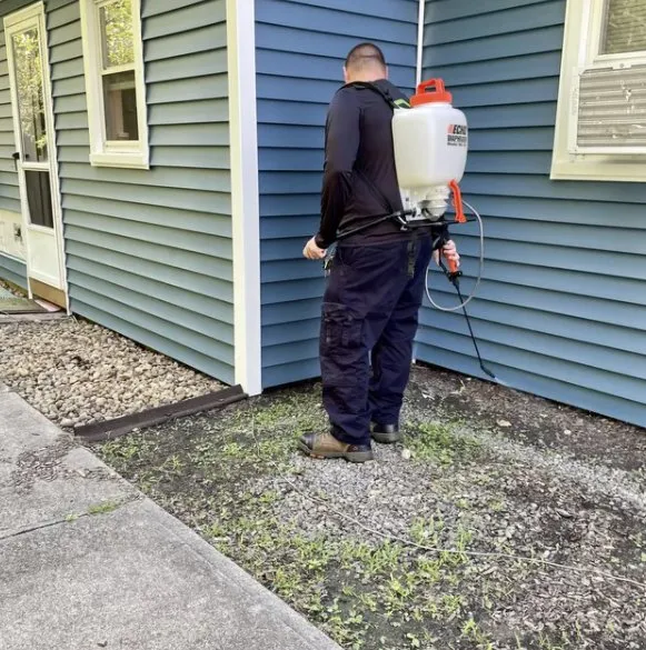 Jensen's Pest Control work photo