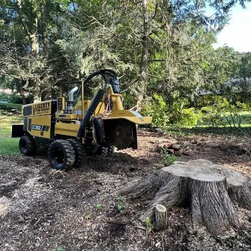 work photo from libertystumpgrinding.com