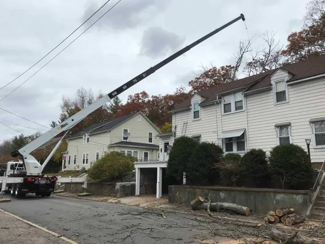 work photo from northsmithfieldtreeservice.com
