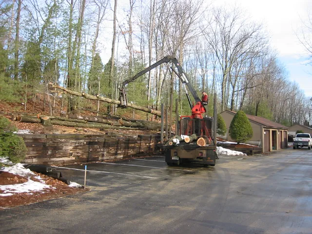 Hirko's Tree Service work photo