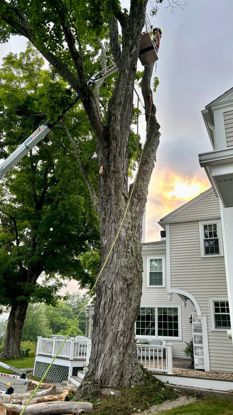 new england tree service 92' aerial lift