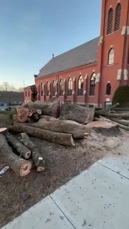 work photo from hdtreeservicesandlandscaping.com