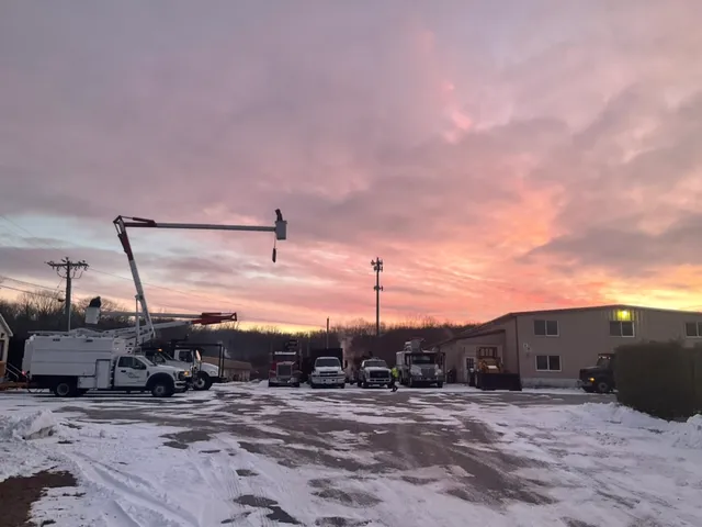 work photo from arbortechct.com