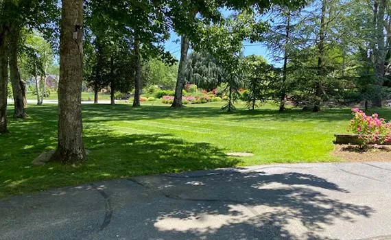 work photo from lawncareri.com