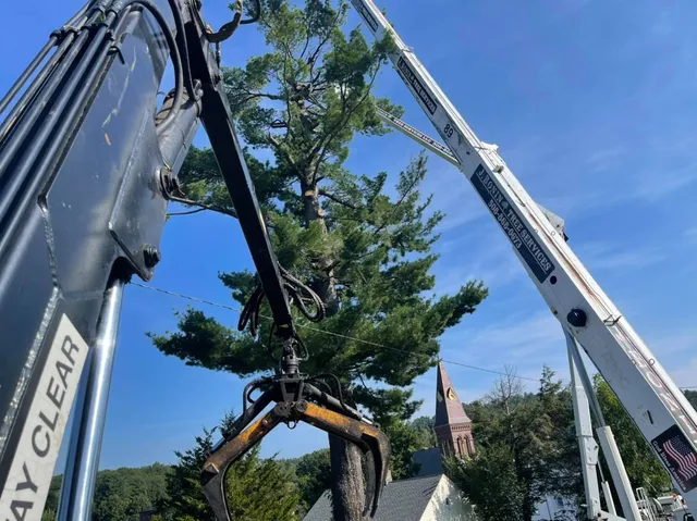 J. Bonin Tree Services, LLC verified work photo