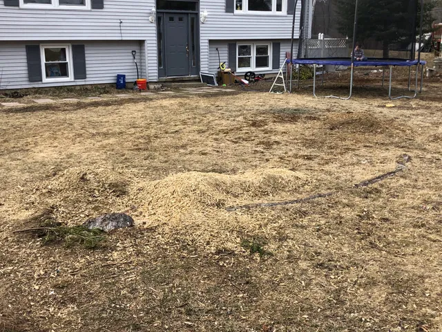 Green Thumb Tree Services work photo