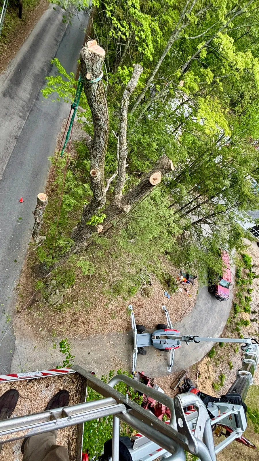 new england tree service lift operator