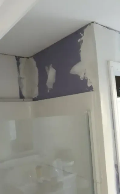 Ryans Painting Plus Carpentry And Handyman Services researched project photo