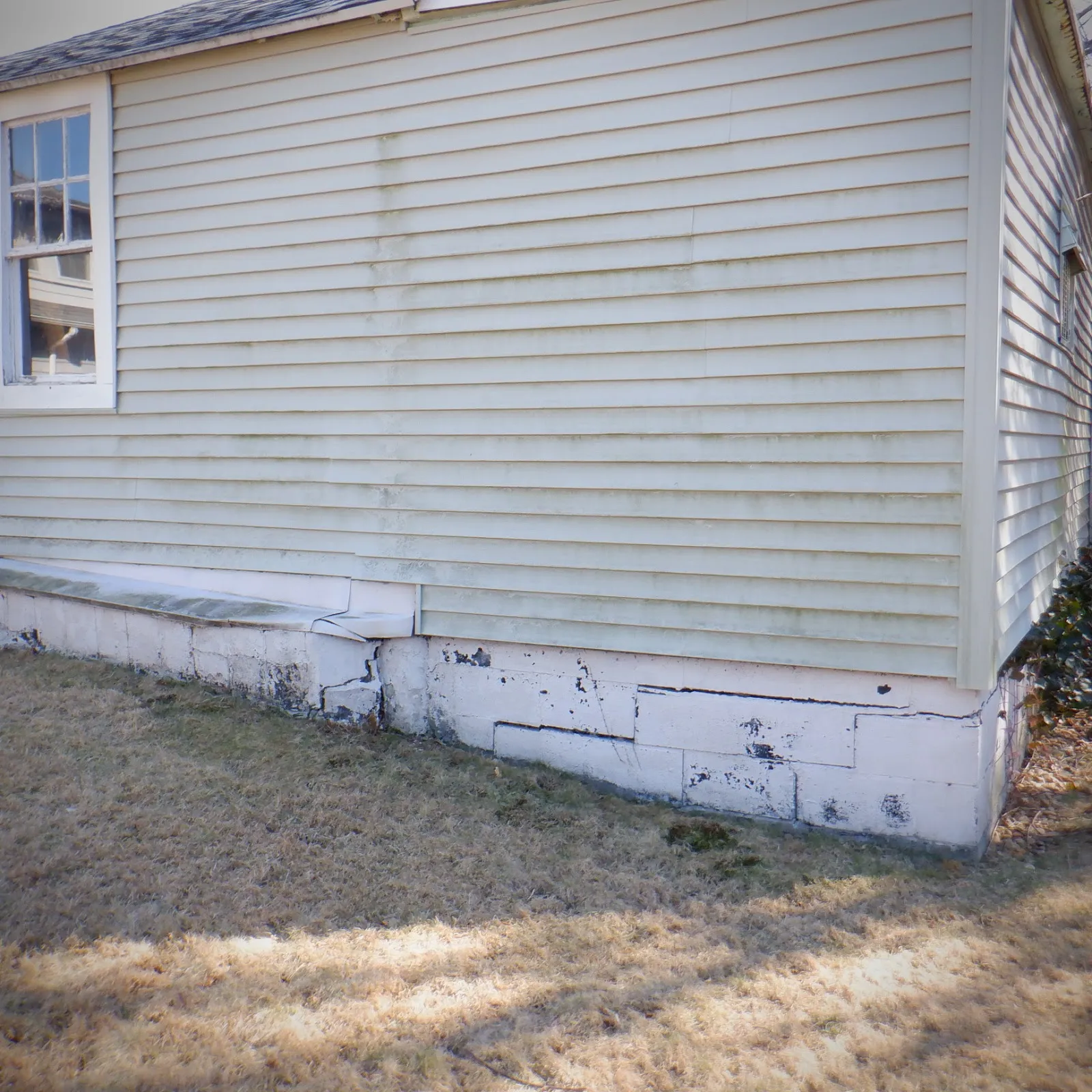 Stephen Home Inspection Inc.