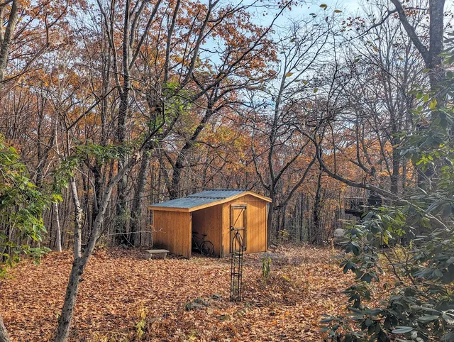 Custom shed build