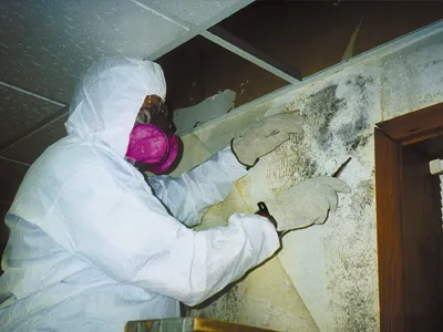 work photo from absasbestos.com