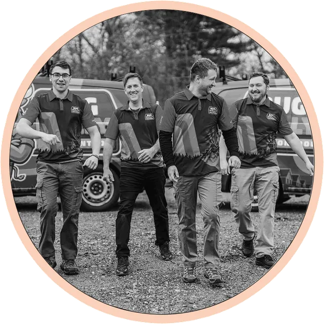 Pest and rodent control team in massachusetts