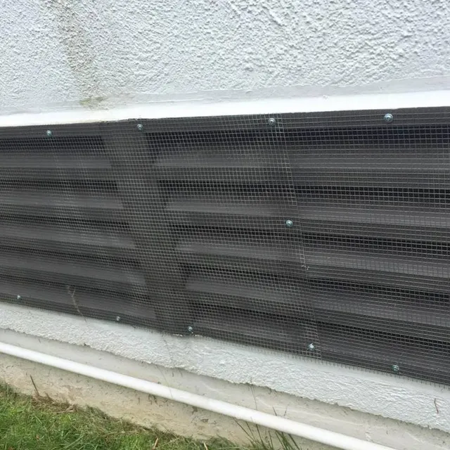Worcester Bat Removal work photo