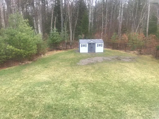 Review photo by Amy Shibles