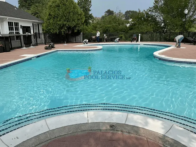 work photo from palaciospoolservices.com