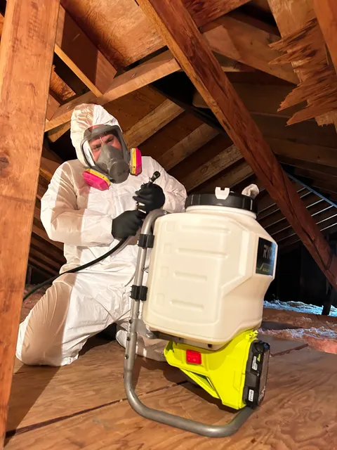 Connecticut Mold work photo
