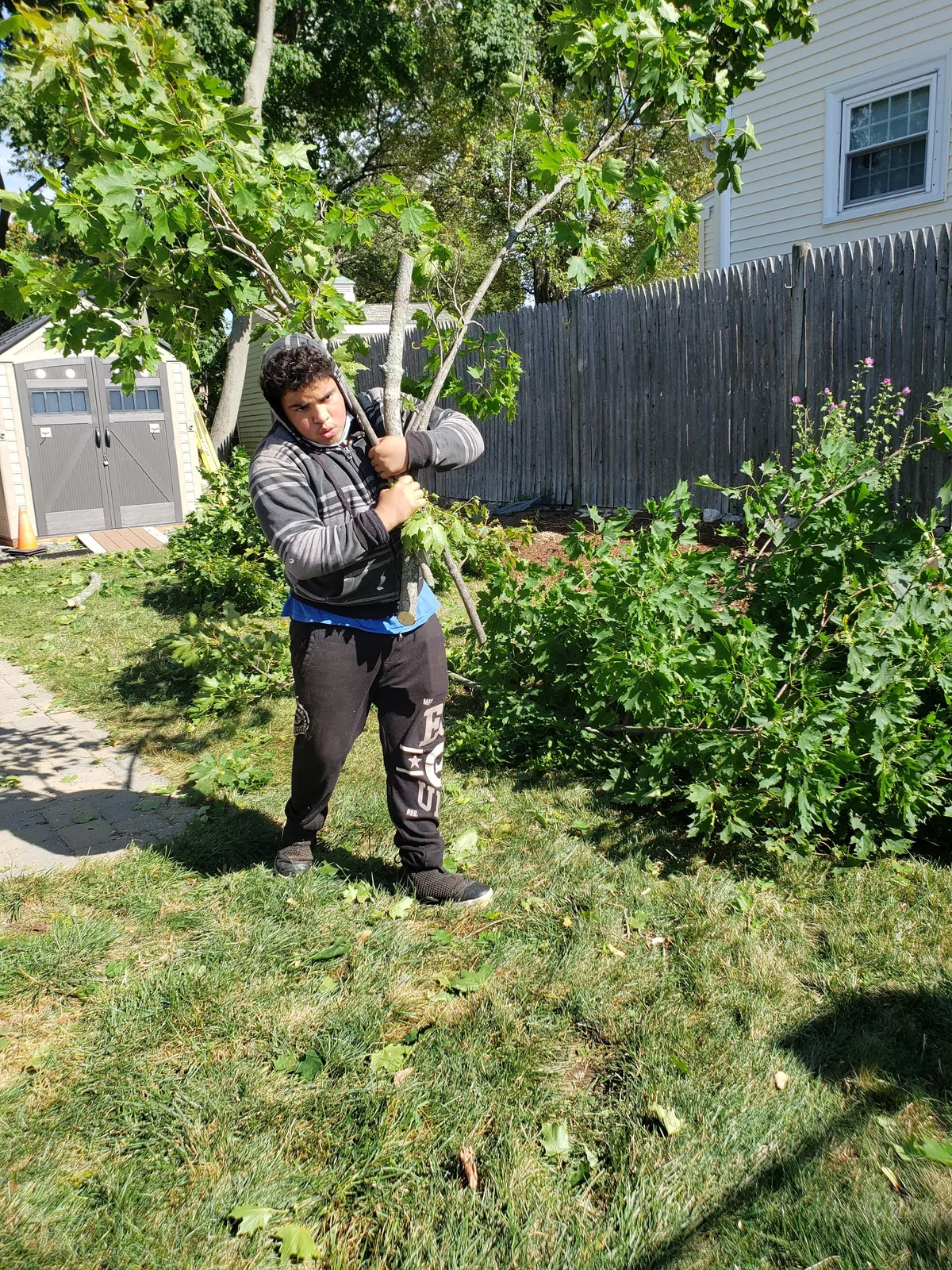 work photo from Google listing