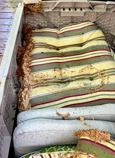 A & M Pest Control work photo