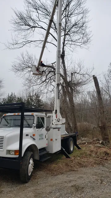 work photo from nutmegtreeservice.com