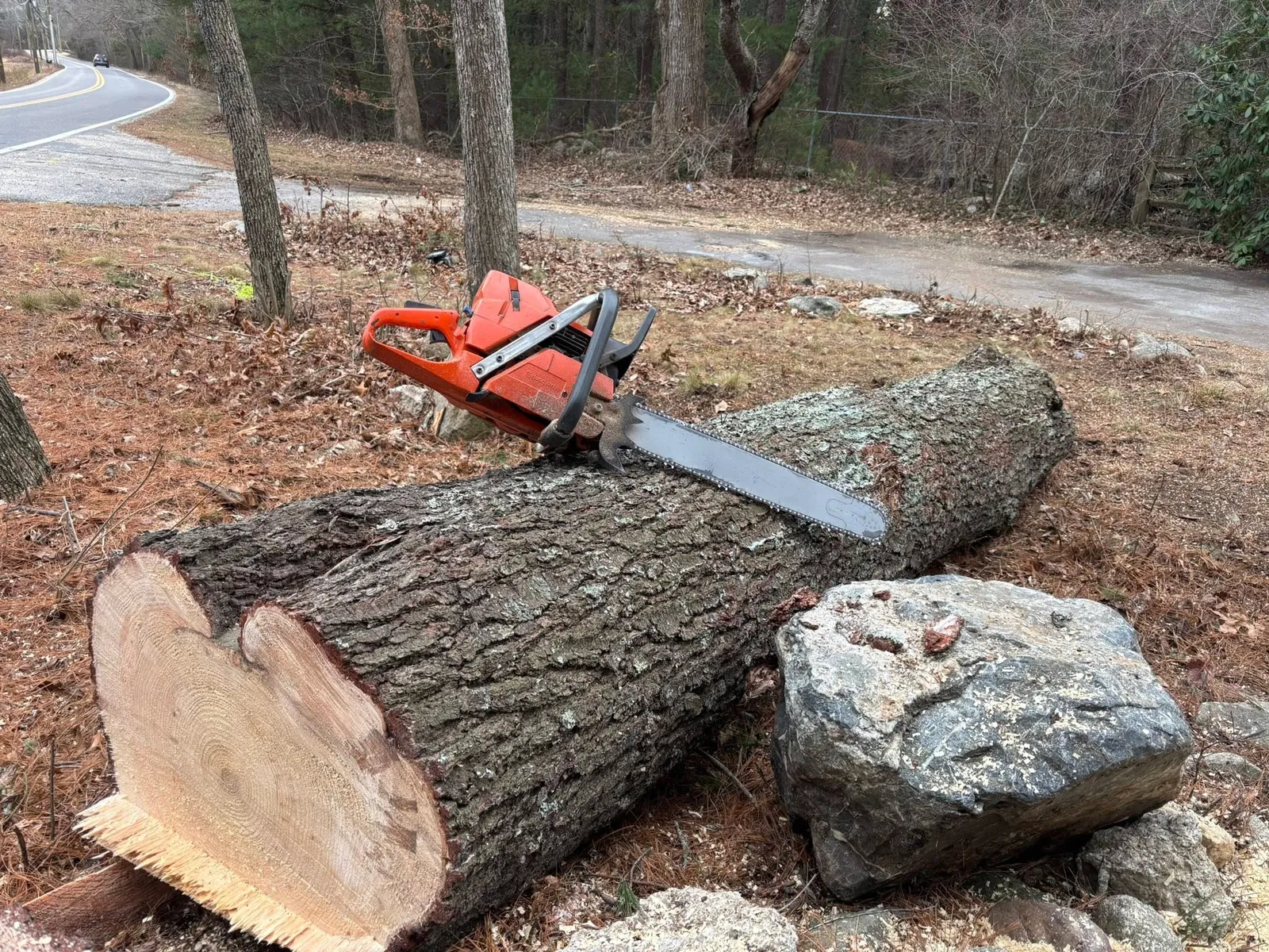work photo from treeservicekingston.net