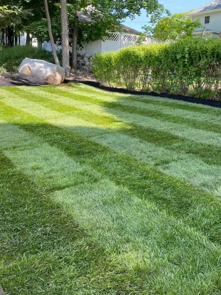 Lawn Care