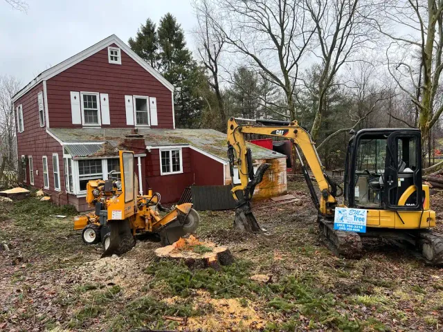 Eml Tree Services Llc work photo