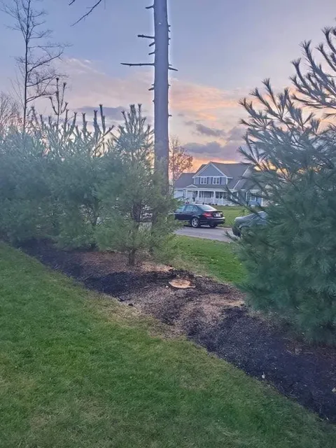 work photo from sendittreeservice.com