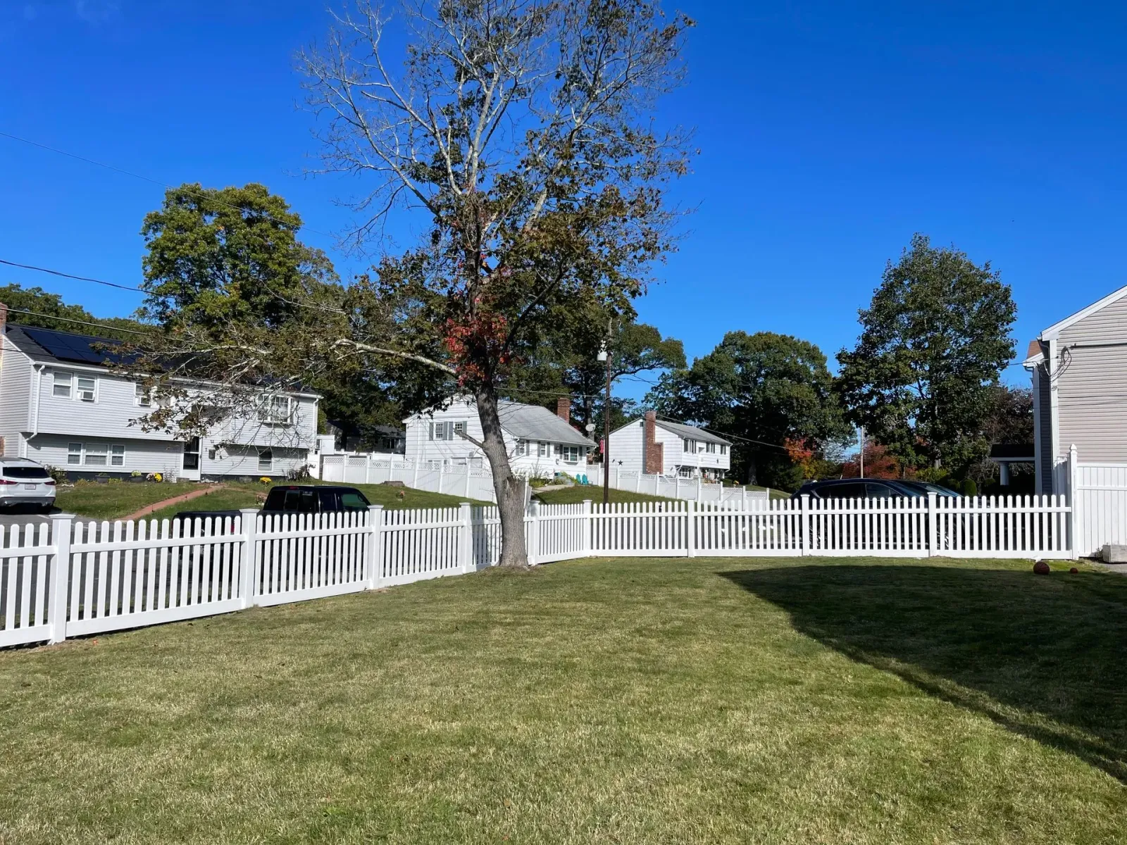 White picket fence surrounds a green lawn with a tree and houses on a sunny day.