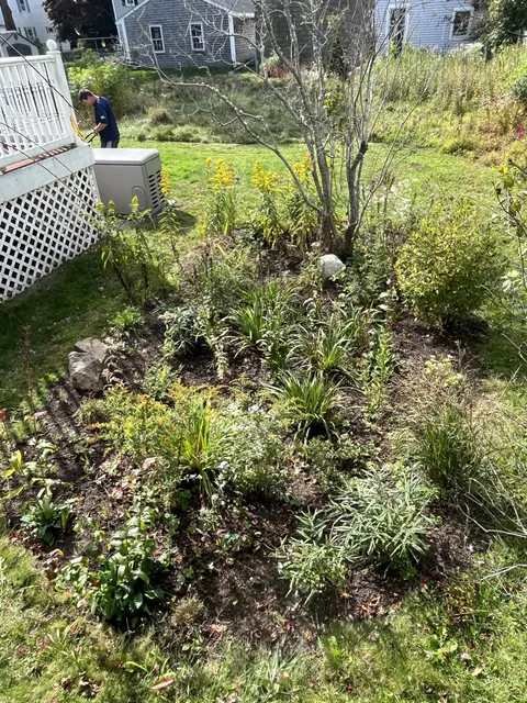 work photo from southcoastnativelandscapes.com