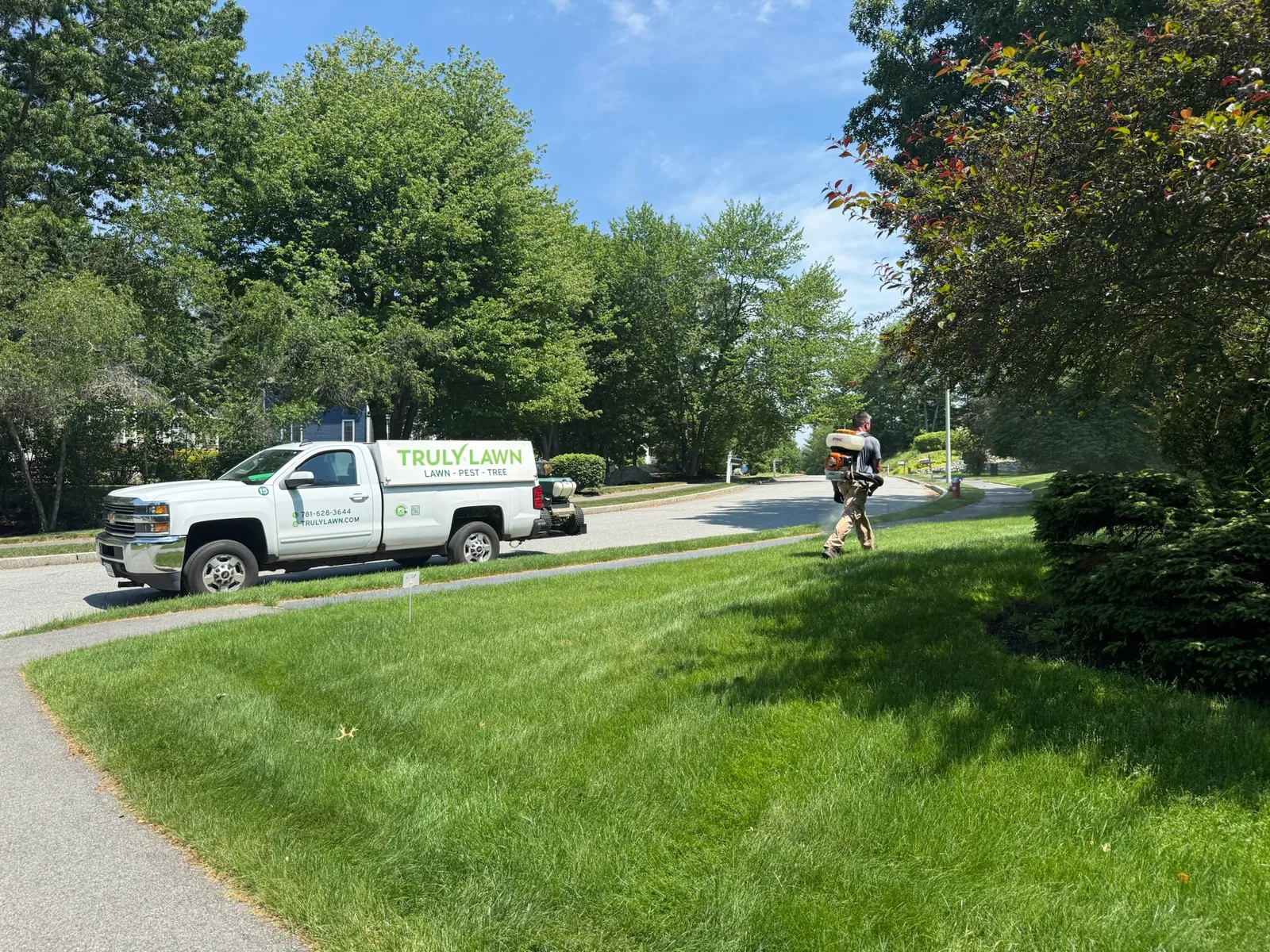 work photo from Google listing