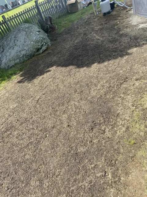 Clearing Land
