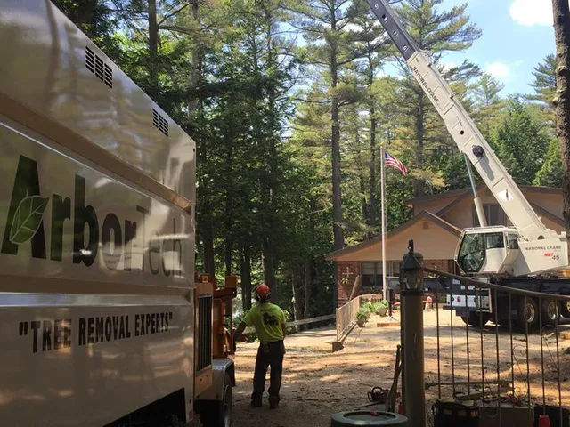ArborTech NH tree care project 2 - Professional tree removal, pruning, or stump grinding service in New Hampshire