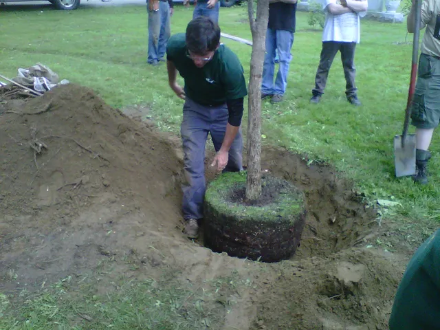 work photo from gallaghertreeandlandscape.com