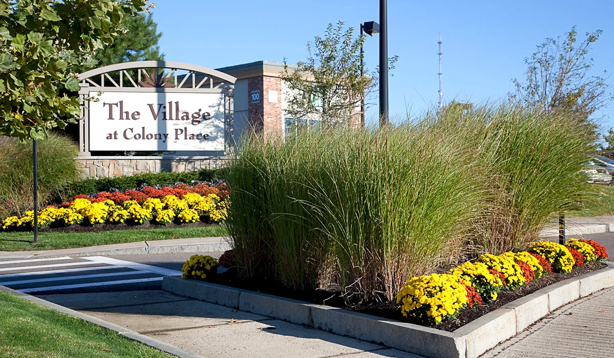landscaping_1