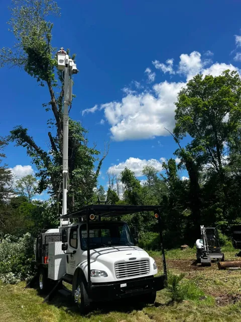 Utility truck with a bucket lift installed on top, working on power lines or tree trimming, surrounded by trees and a clear blue sky with some white clouds.