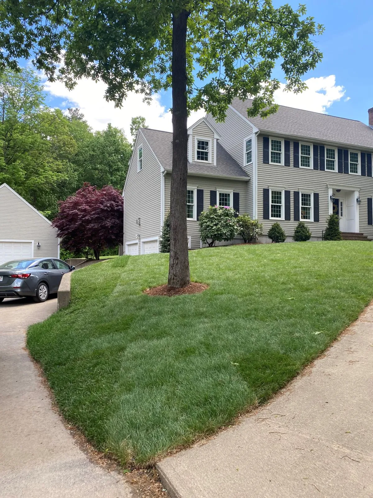 Residential landscaping - completed project