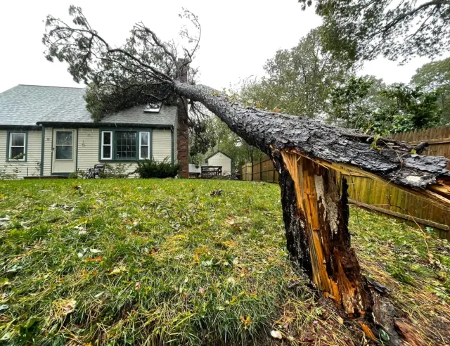 Storm damage