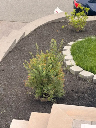 Nolasco Landscaping and Construction work photo