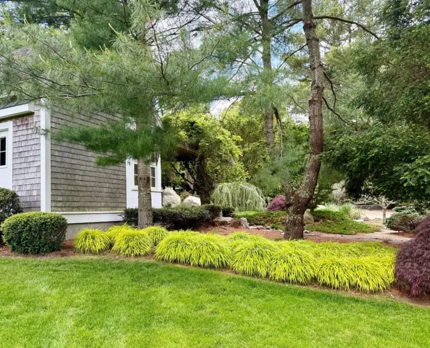 work photo from cmslandscape.com
