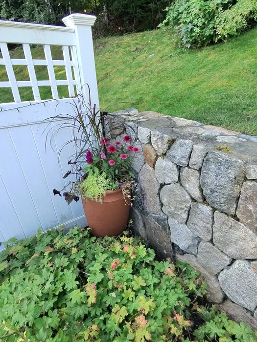 Terra cotta container with purple Fountain Grass, Coneflowers, Celosia, and trailing Sedum against a stone wall
