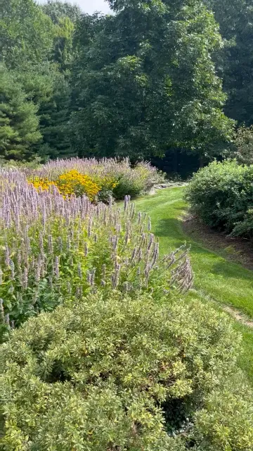 Archy's Landscaping LLC researched project photo