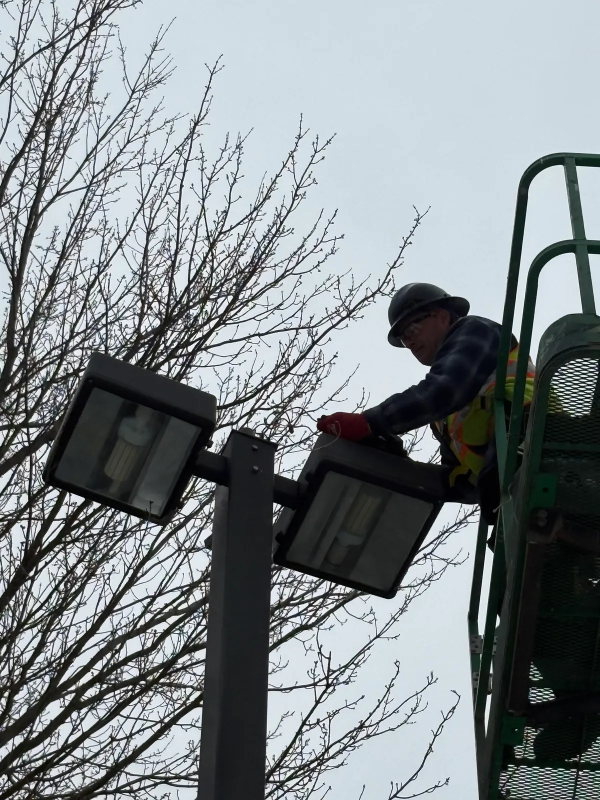 work photo from Google listing