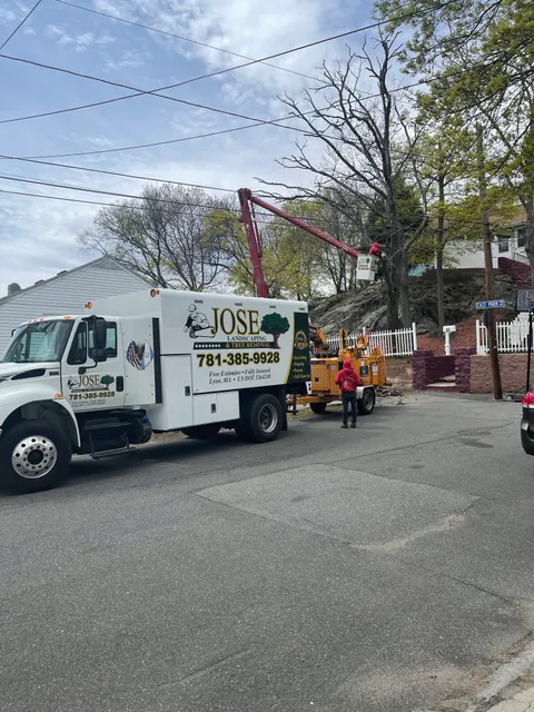 Jose Landscaping and Tree Removal work photo